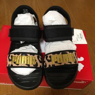 プーマ(PUMA)のプーマ サンダル(サンダル)