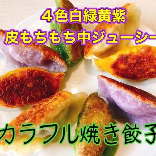 カラフル餃子　4色白緑黄紫　野菜の色無着色無添加　皮もちもち中ジューシー(野菜)