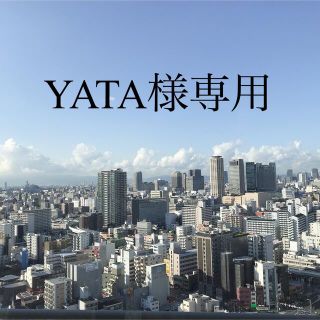 エムティー(mt)の【YATA様】専用(テープ/マスキングテープ)