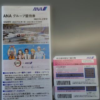 エーエヌエー(ゼンニッポンクウユ)(ANA(全日本空輸))のANA株主優待券と冊子(その他)