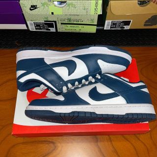 ナイキ(NIKE)のNIKE DUNK LOW Valerian Blue 27.0cm US9(スニーカー)