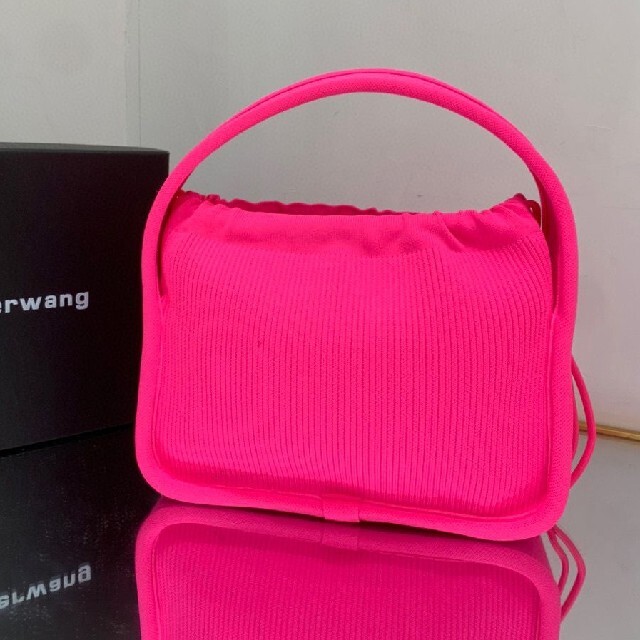 ALEXANDER WANG RYAN リブニット スモールバッグ | www.innoveering.net