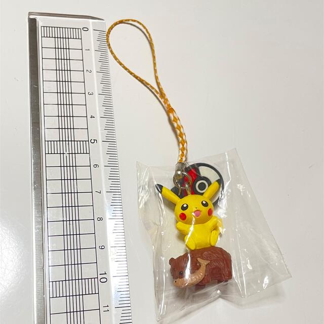 ポケモン(ポケモン)の𓊆 未使用品 北海道 ご当地ストラップ ピカチュウ×熊𓊇  エンタメ/ホビーのアニメグッズ(キーホルダー)の商品写真