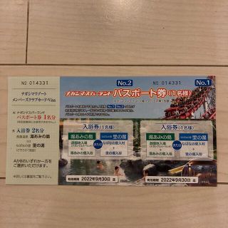 ナガシマスパーランド　パスポート券　1名様分(遊園地/テーマパーク)