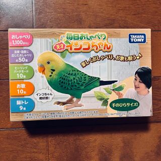 タカラトミー(Takara Tomy)の毎日おしゃべりインコちゃん(趣味/スポーツ/実用)