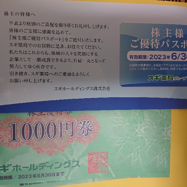 スギホールディングス 株主優待券 3000円分 | clipa.md
