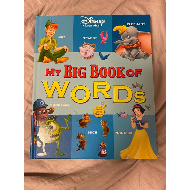 dwe my big book of words