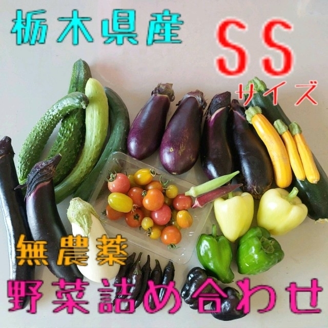 野菜おまかせ詰め合わせBOX【SS】 食品/飲料/酒の食品(野菜)の商品写真