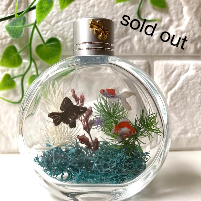 堅実な究極の ハーバリウム アクアリウム 金魚 NO177☆*:.。. その他 ガーデンピック21 熱帯魚① 3本セット 寄せ植え