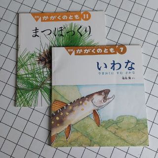 【付録付き】かがくのとも　まつぼっくり 　いわな(専門誌)