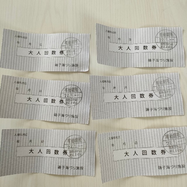 磯子海釣り施設　回数券6枚 チケットの施設利用券(その他)の商品写真