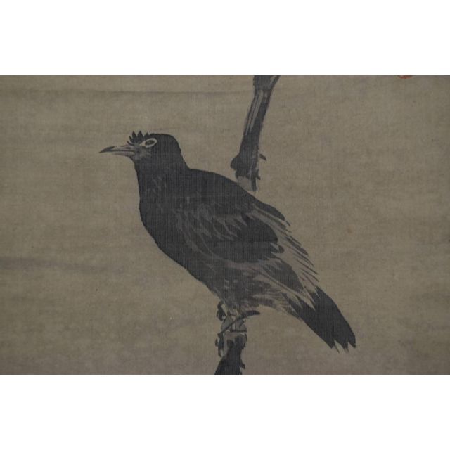 高級品市場 谷文晁/枯木叭叭鳥図/掛軸☆宝船☆Z-931の通販 掛軸 高級品市場 谷文晁/枯木叭叭鳥図/掛軸☆宝船☆Z-931の通販 掛軸