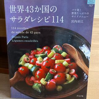 世界４３か国のサラダレシピ１１４ パリ発！野菜たっぷりのサイドメニュ－(料理/グルメ)