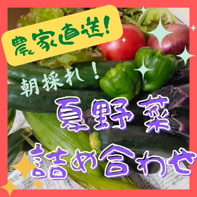 農家の定番夏野菜！たっぷり 80サイズ 食品/飲料/酒の食品(野菜)の商品写真