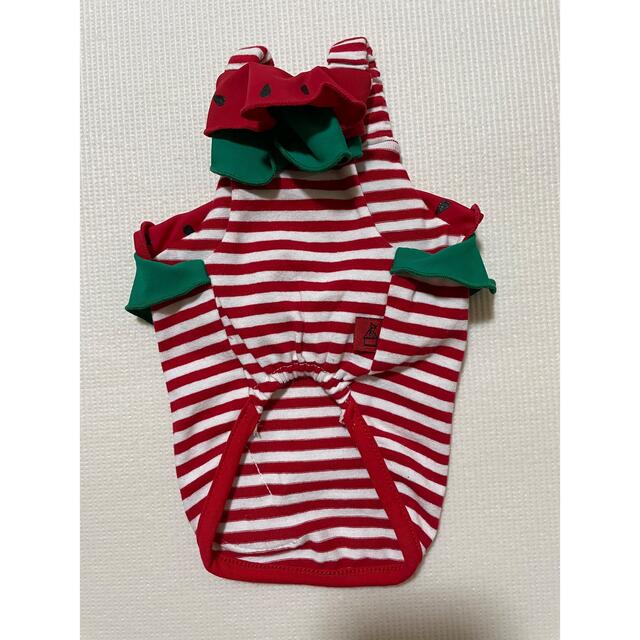 circus circus サーカスサーカス スイカ 涼感加工 犬服 XS