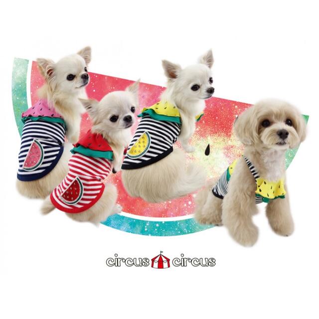 circus circus サーカスサーカス スイカ 涼感加工 犬服 XS