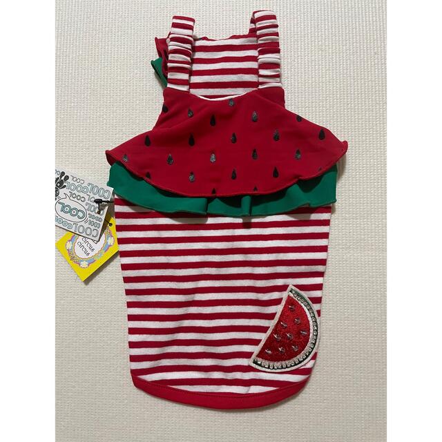 circus - circus circus サーカスサーカス スイカ 涼感加工 犬服 SSの ...