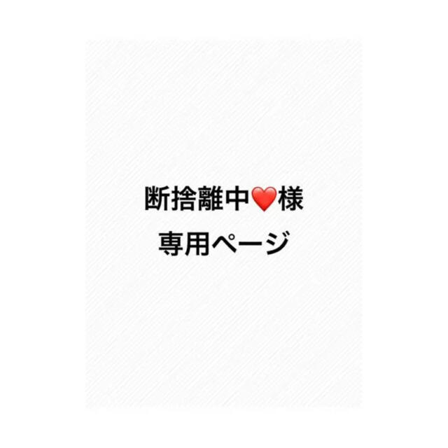 GIuck断捨離中様専用 人気商品を激安通販