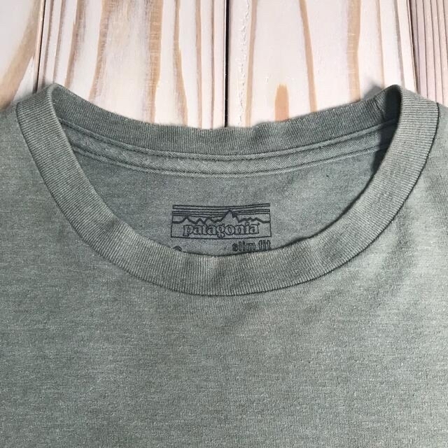 patagonia(パタゴニア)のレアカラー　パタゴニア　フライングフィッシュT メンズのトップス(Tシャツ/カットソー(半袖/袖なし))の商品写真