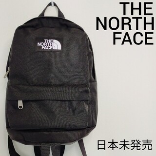 THE NORTH FACE - 【超入手難カラー】the north face リュック21Lの 