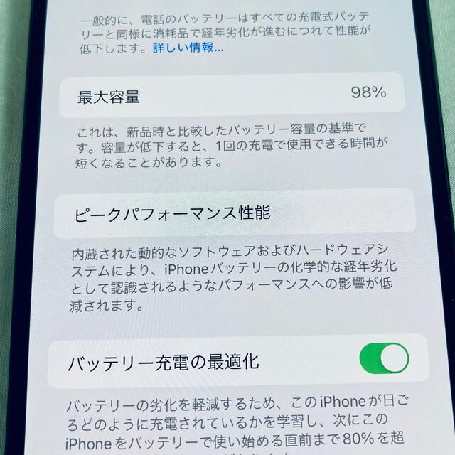 iPhone(アイフォーン)の極美品 iPhone 13 Pro Max シエラブルー 1TB SIMフリー スマホ/家電/カメラのスマートフォン/携帯電話(スマートフォン本体)の商品写真