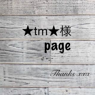 ★tm★様専用　手染め糸　おまとめ(その他)