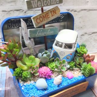 多肉植物の寄せ植え♡ウッディと海辺のドライブ♡そのまま飾れる