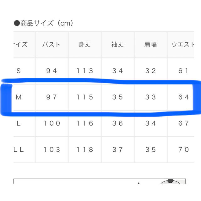 HONEYS(ハニーズ)のギンガムチェック　ワンピース レディースのワンピース(ロングワンピース/マキシワンピース)の商品写真