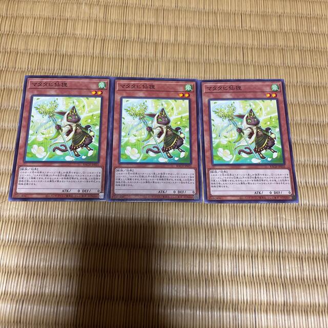 遊戯王(ユウギオウ)のマタタビ仙狸　3枚 エンタメ/ホビーのトレーディングカード(シングルカード)の商品写真