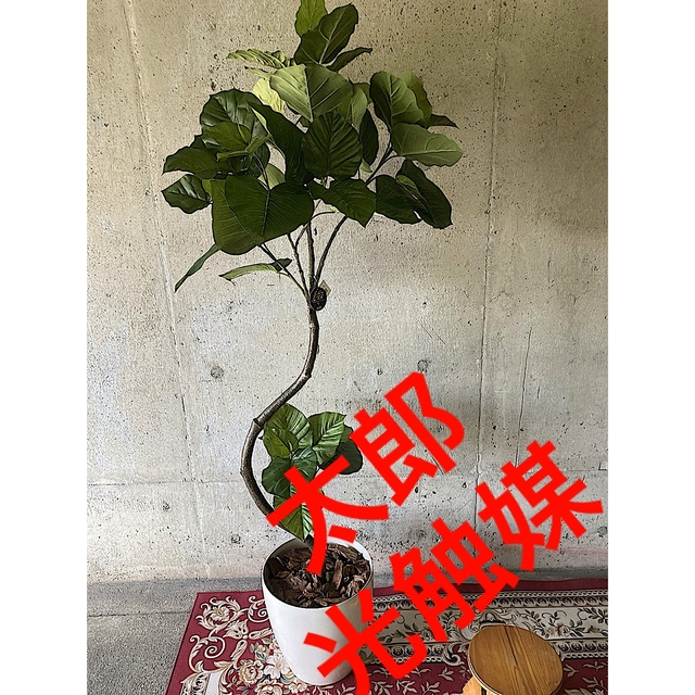 光触媒　人工観葉植物　ウォールグリーン　ウンベラータ165アレンジフラワー