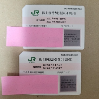 ジェイアール(JR)のJR東日本株主優待制券 2枚(その他)