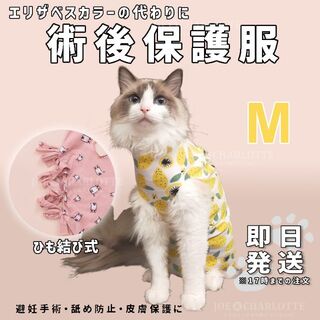 【イエローM】ひも結び式 犬猫術後保護服 エリザベスカラー 舐め防止ウェア(猫)