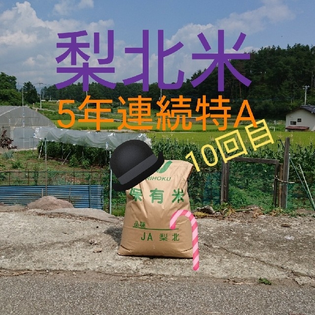 ドラミ様専用 令和3年度産 梨北米 10kg 1等米 農家直送 食品/飲料/酒の食品(米/穀物)の商品写真