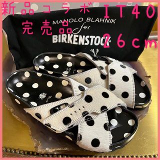 マノロブラニク(MANOLO BLAHNIK)の【新品第二弾コラボ】40 マノロブラニク×ビリケン　ドット(サンダル)