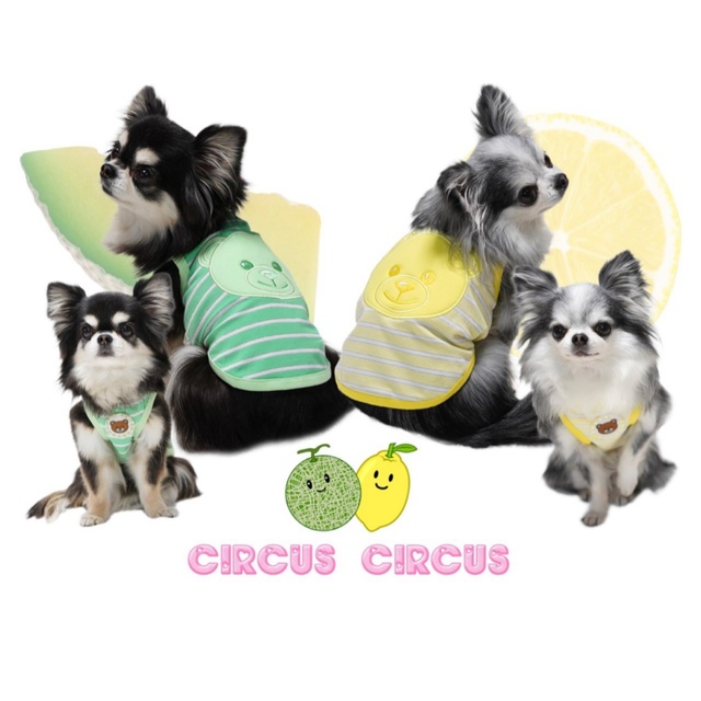 circus - サーカスサーカス Toy Bear Juicy Border タンク 犬服の通販 by 777.萌々ʕ•ᴥ•ʔ｜サーカスならラクマ