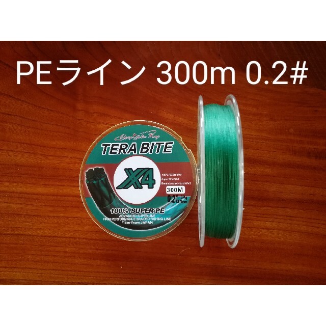 TERABITE PEライン(4本編み),300m巻,0.2# スポーツ/アウトドアのフィッシング(釣り糸/ライン)の商品写真