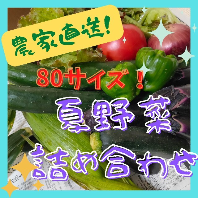 定番夏野菜詰め合わせ 80サイズ 食品/飲料/酒の食品(野菜)の商品写真
