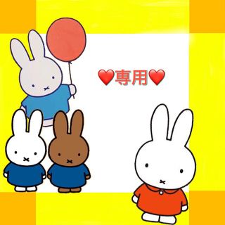 ★ポッチ様専用★白華の姫〜失われた３つの愛〜全58話　DVD12枚(TVドラマ)