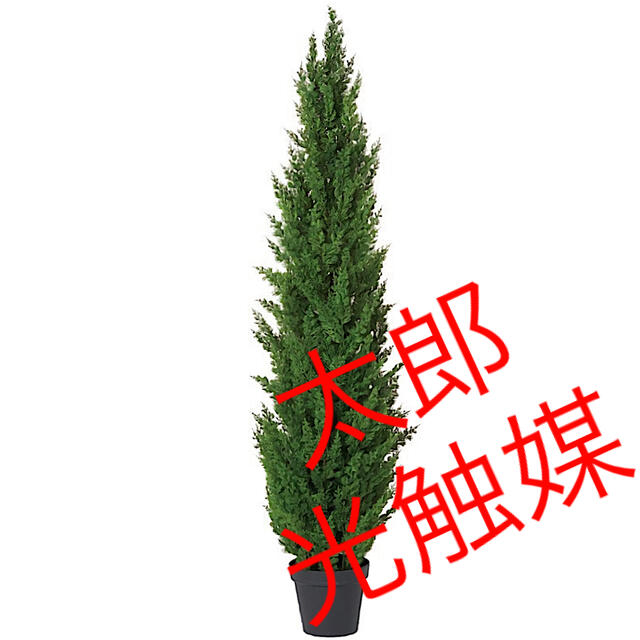 太郎 光触媒 人工観葉植物 ウォールグリーン フェイク フラワ ...