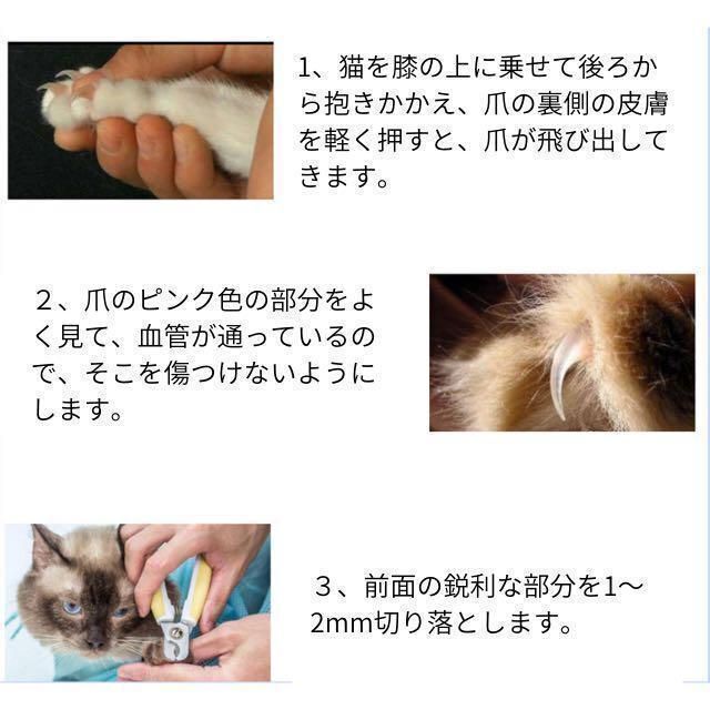爪切り つめ切り ペット用品　猫　犬 やすりセット ニッパー ブルー 巻き爪 その他のペット用品(猫)の商品写真