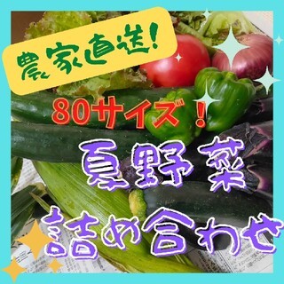夏野菜詰め合わせ 80サイズ(野菜)
