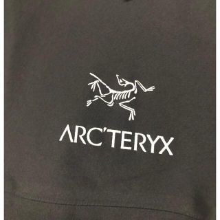 アークテリクス(ARC'TERYX)のS様専用アークテリクス   beta lt  ジャケット L (マウンテンパーカー)