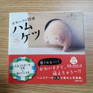 ハムケツ かわいさに悶絶(その他)