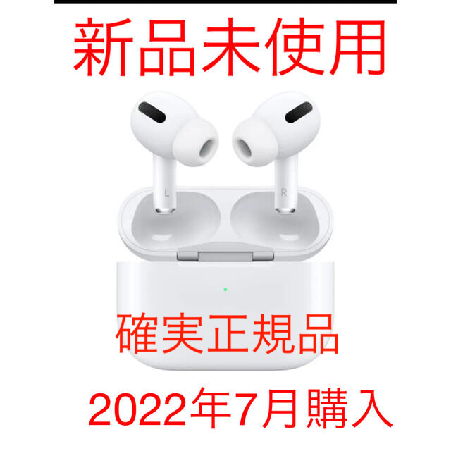 Apple AirPods Pro 充電ケース付 MLWK3J/A 【逸品】 www.bluepractice