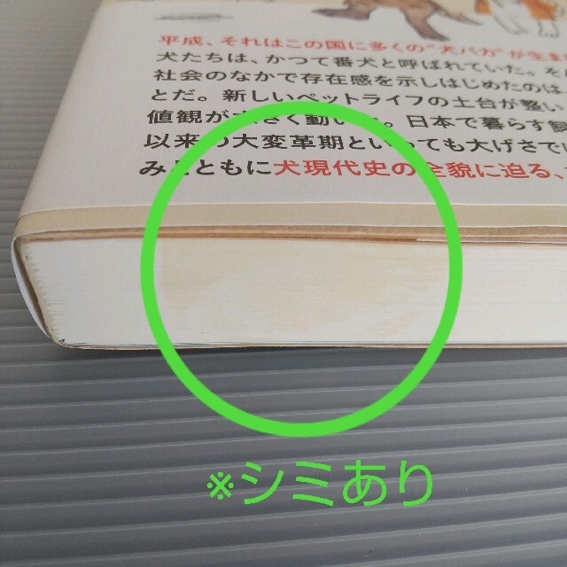 集英社(シュウエイシャ)の平成犬バカ編集部 エンタメ/ホビーの本(ノンフィクション/教養)の商品写真