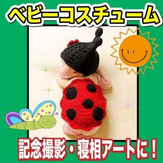 てんとうむし 着ぐるみ テントウムシ(その他)
