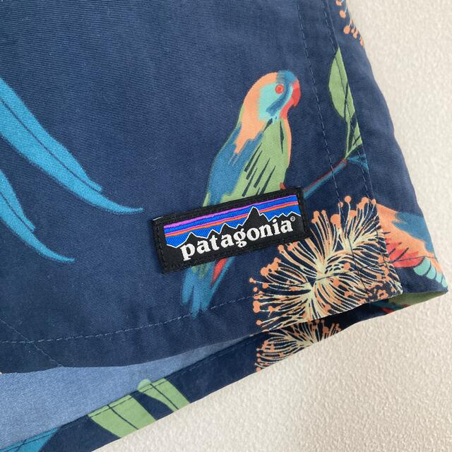 patagonia(パタゴニア)のpatagonia バギーズショーツ　Parrots: Stone Blue  メンズのパンツ(ショートパンツ)の商品写真