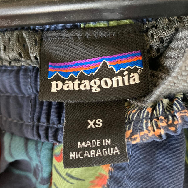 patagonia(パタゴニア)のpatagonia バギーズショーツ　Parrots: Stone Blue  メンズのパンツ(ショートパンツ)の商品写真