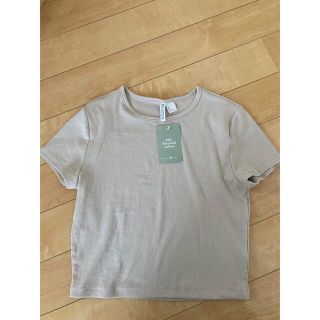 エイチアンドエム(H&M)のH&M クロップド丈リブニットトップス　ショート丈トップス Zara nugu (Tシャツ(半袖/袖なし))