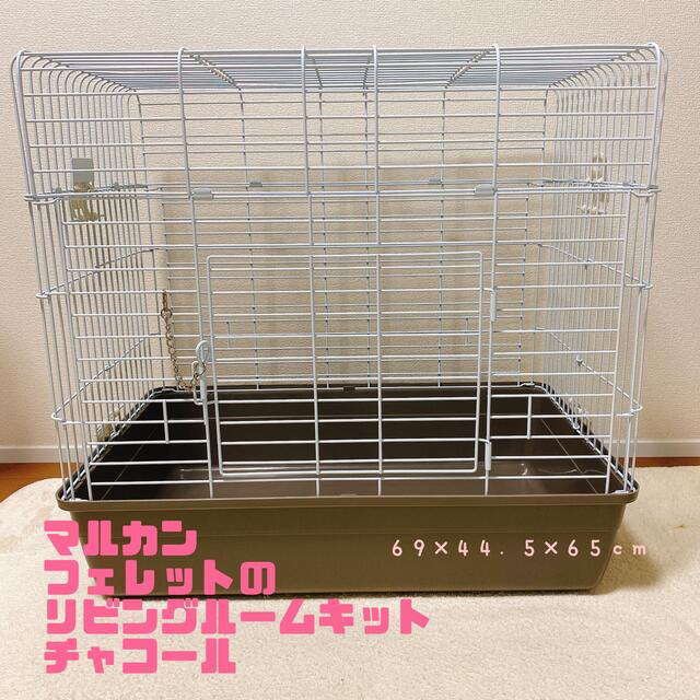 大人気☆ 2022年フェレットのリビングルームキット チャコール〔ペット用品〕〔〕最新 | dreamsperfected.com
